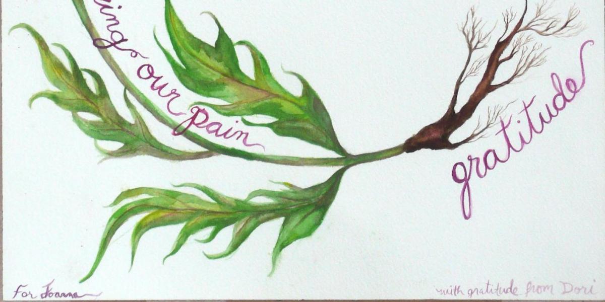 Dandelion Active Hope image by Dori Midnight Image of dandelion by Dori Midnight